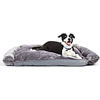 EveryYay Snooze Fest Grey Sofa Bed for Dogs