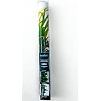 Seaview Brilliant Backgrounds Greenspike/ Amazonia