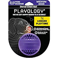 Playology Pork Sausage Scent Dental Chew Ball Dog Toy