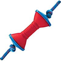 KONG Jaxx Brights Dumbbell with Rope Assorted Dog Toys