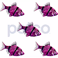 Galactic Purple Tiger Barb