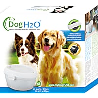 Cat H2O & Dog H2O Pet Fountain with Dental Care
