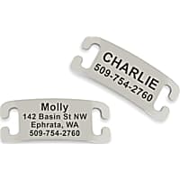 GoTags Personalized Metallic No Noise Stainless Steel Slide-On Pet ID Tag