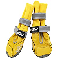 Dog shoes at petco best sale