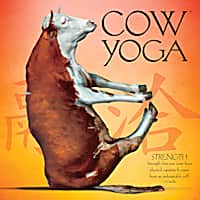 Willow Creek Press Cow Yoga Book