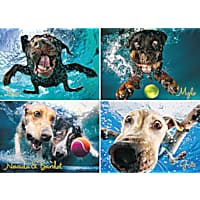 Willow Creek Press Underwater Dogs: Splash 1000-Piece Puzzle