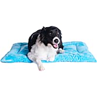 Armarkat Sky Blue Pet Crate