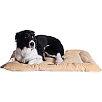 Armarkat Beige Pet Crate