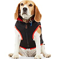 Reddy Black Dog Puffer Vest