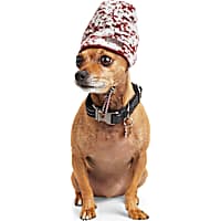 Reddy Camo Burgundy Reversible Dog Beanie