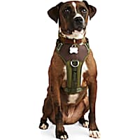 Reddy Olive Jacquard Dog Harness