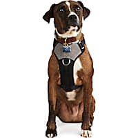 Reddy Jacquard Dog Harness