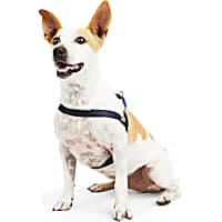 YOULY The Trailblazer Blue Wipeable Dog Harness