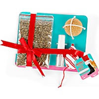 Merry Makings Holi-yay Spritz Cat Toy Set