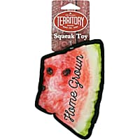 Territory Slice-of-Watermelon Bone Dog Toy