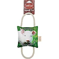 Territory Getting Piggy 2-Way Tug Toy