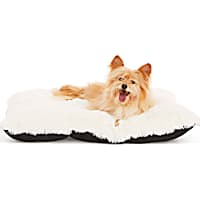 EveryYay Essentials Snooze Fest Lavender-Scented Lounger Dog Bed