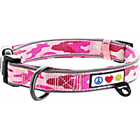 Pawtitas Camo Padded Dog Collar