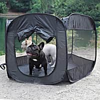Paws and Pals Black Pet Playpen Portable Pop Up Tent