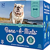 N-Bone Bone-A-Mints Mint Flavor Daily Dental Large Bone for Dogs