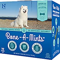 N-Bone Bone-A-Mints Mint Flavor Daily Dental Medium Bone for Dogs