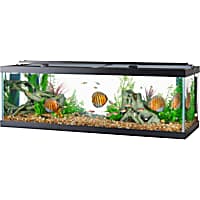 Aqueon 50% Off Tank Deals (Formerly Dollar Per Gallon Sale)