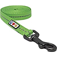 Pawtitas Green Reflective Dog Leash