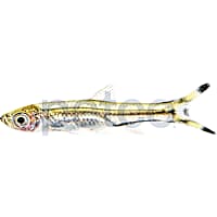 Scissortail Rasbora