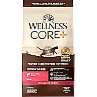Wellness CORE Digestive Health Salmon & Rice Dry Cat Food