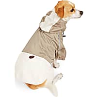 Reddy Tan/Ivory Colorblock Windbreaker for Dogs