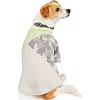 Reddy Mint/Grey Colorblock Dog Tee
