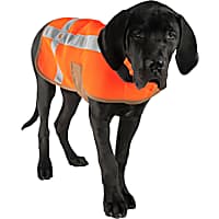 Carhartt Orange Mesh Safety Dog Vest