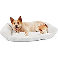 EveryYay Essentials Snooze Fest Gray Nester Dog Bed