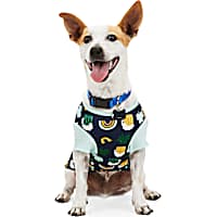 YOULY St. Pat's Beer Print Dog Tee