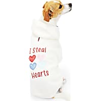 YOULY Steal Hearts Dog Hoodie