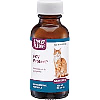 Dog cough medicine petco shop