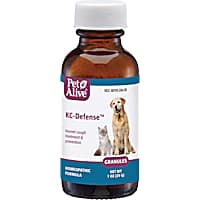 Dog Cold Kennel Cough Treatments Petco