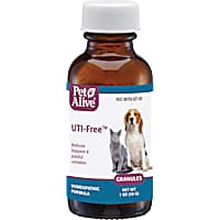 Over the counter meds for dog uti cheap
