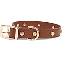 Harry Barker Riveted Leather Dog Collar