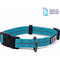 Pawtitas Recycled Reflective Dog Collar