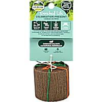 Oxbow Enriched Life Celebration Present for Guinea Pig