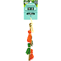 Oxbow Enriched Life Colorful Woven Dangly for Guinea Pig