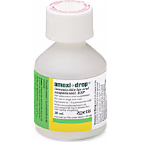 Amoxi Drop (Amoxicillin) Oral Suspension 30ML
