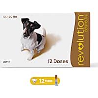 Revolution Topical Solution for Dogs 10.1-20 lbs