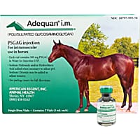 Adequan Equine 5 ml Injectable Solution for Horses