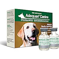 Pain meds for dogs petco sales