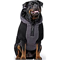 Canada Pooch Cool Factor Dog Hoodie Black and Grey