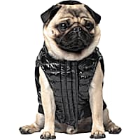 Versace luxury pet jacket – Lower east side petshop