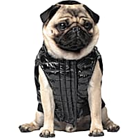 Canada Pooch Black Shiny Puffer Vest for Dogs Size 8