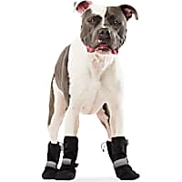 Dog Boots Shoes Socks Puppy Dog Booties Petco